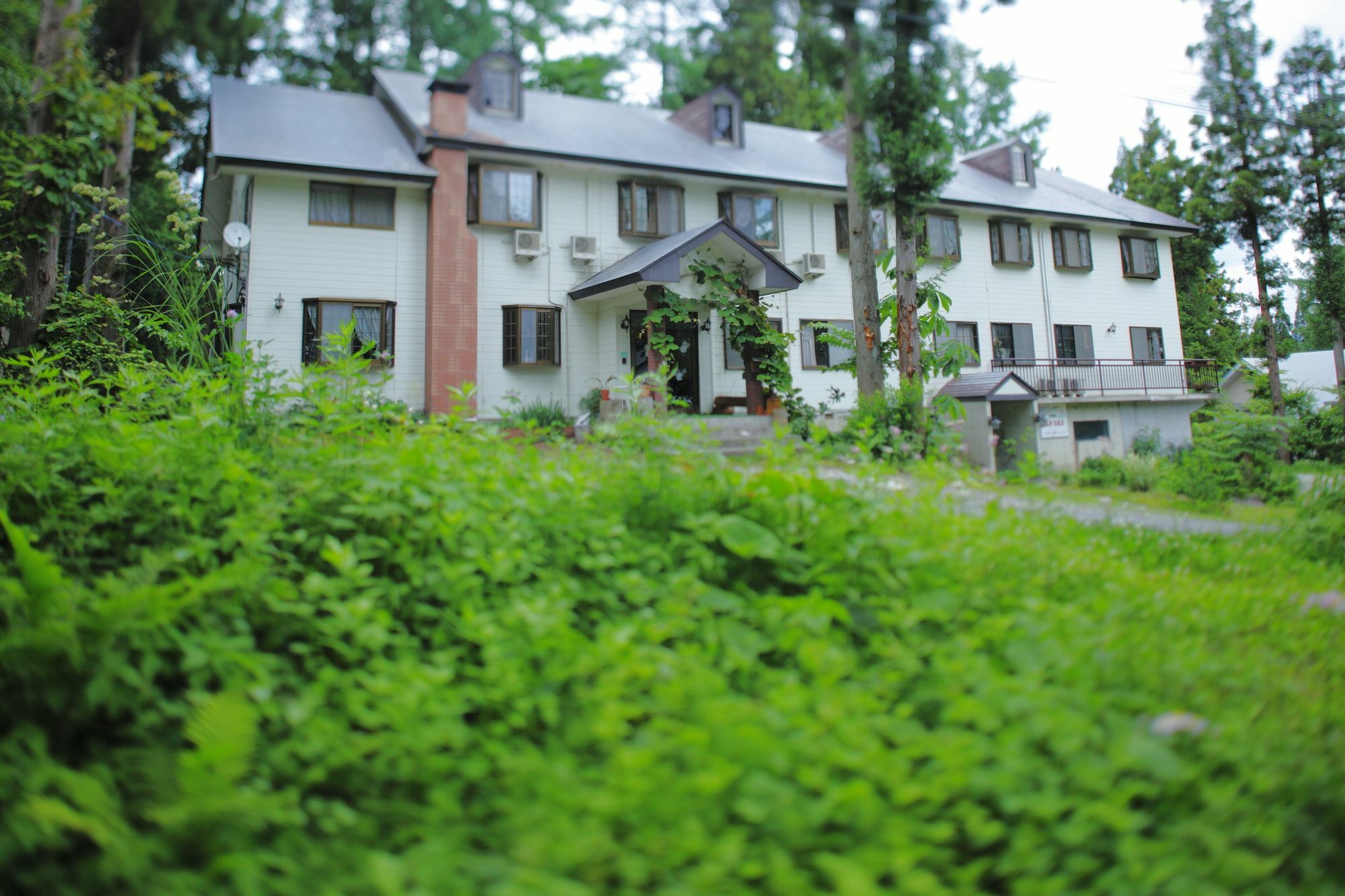 Hakubagoryu Pension&Logcottage Arumu Buitenkant foto